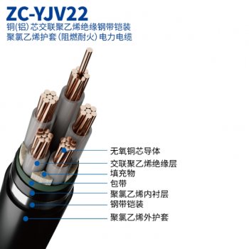 ZC-YJV22（低压）